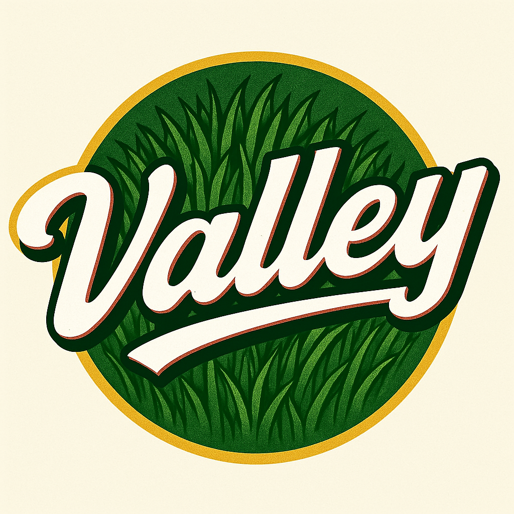 Valley Sports Arena Logo